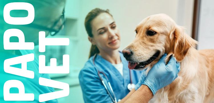 Papo Vet: Câncer de Próstata em Cães e Gatos: Sinais Clínicos, Diagnóstico, Tratamento e Prevenção 