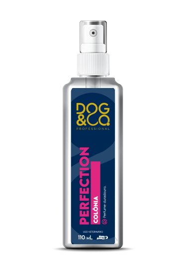Perfection  Dog&Co. Colônia 