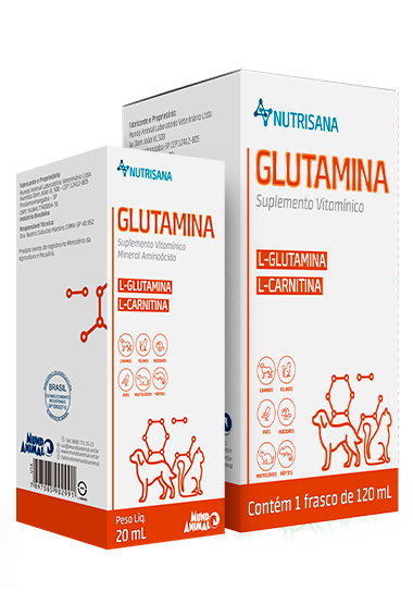 Glutamina (L-Glutamina, Valina, Isoleucina, Maltodextrina e Vitaminas do complexo B)